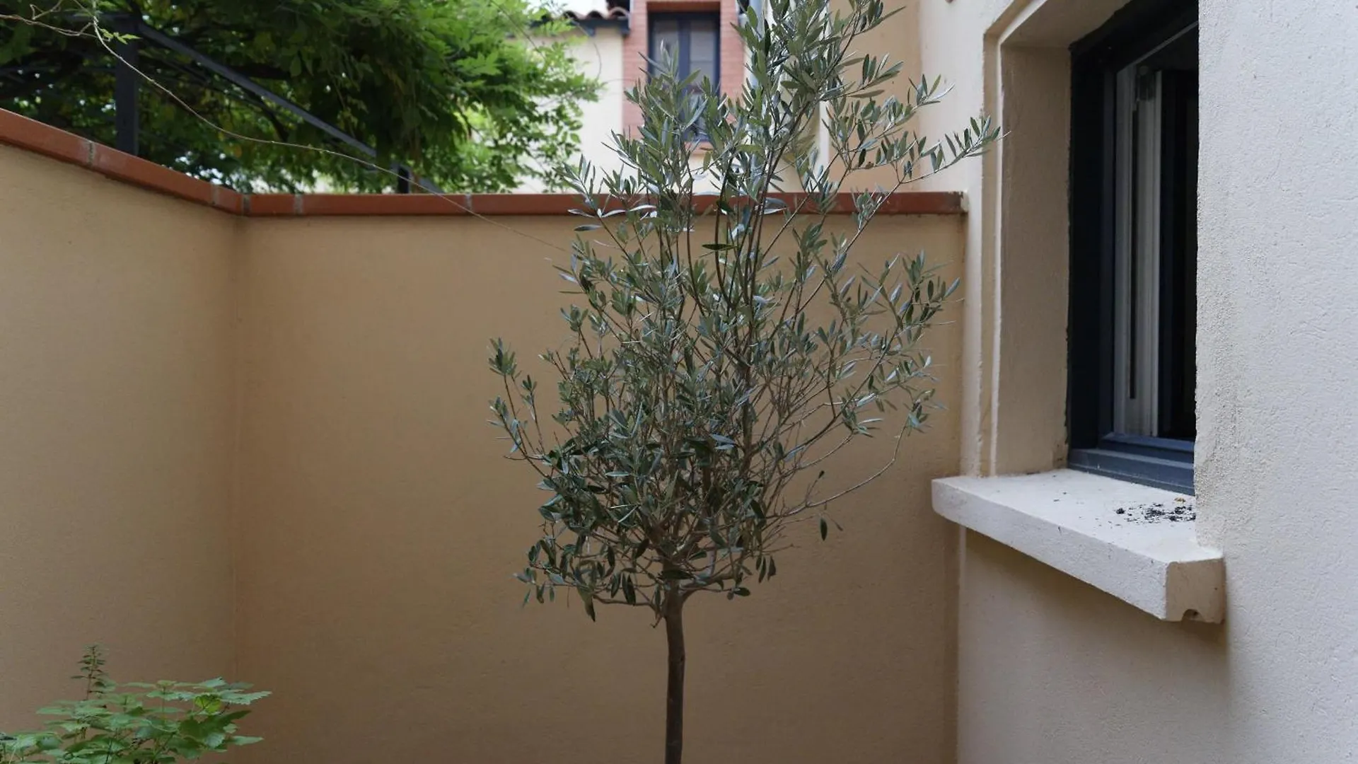 Luxury Apartment T2 70M2 Saint-Cyprien Toulouse